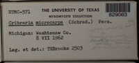 Image Associated With the Occurence